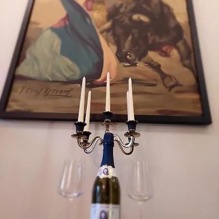 Torro Lux Apartment Palić